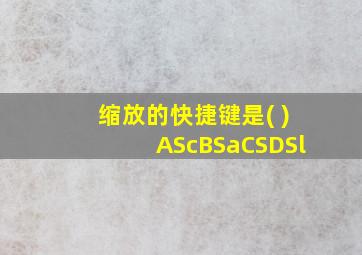 缩放的快捷键是( )AScBSaCSDSl